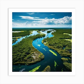 Everglades National Park Florida Art Print