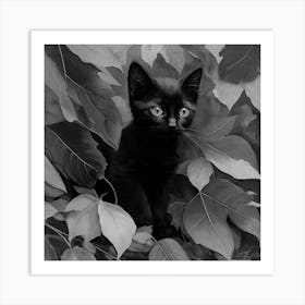 Black and White Black Kitten In Leaves 2 Art Print