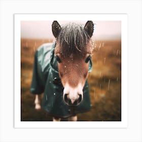 Little Pony In The Rain 1 Art Print