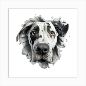 Dalmatian 6 Art Print