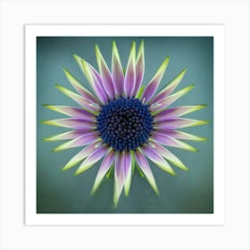 Color Daisy Wheel Botanical Fine Art Print Art Print