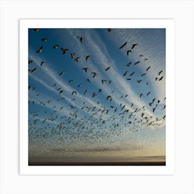 Flock Of Geese Art Print