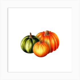 Pumpkins On White Background Art Print