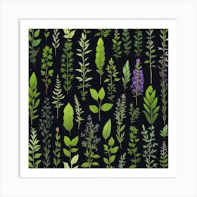 Set Of Herbs On Black Background Art Print