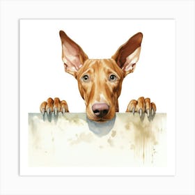 Doberman Pinscher 12 Art Print