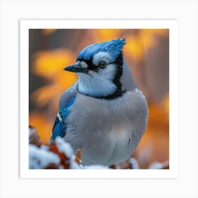 Blue Jay 2 Art Print