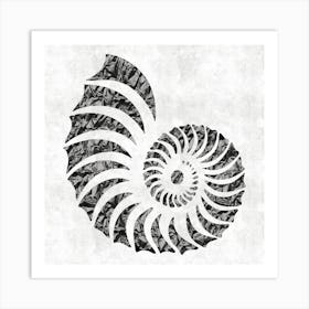 Nautilus Shell Art Print