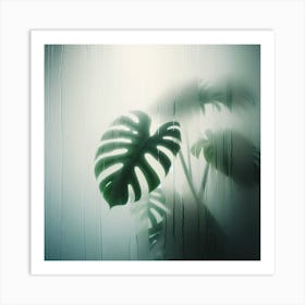 Nature Monstera Plant Leaves Botanical Fog Mist Art Print