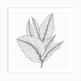 Hibiscus Leaf Art Print