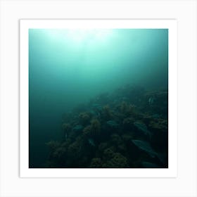 Great Barrier reef 67 Art Print