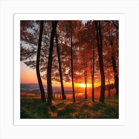 Sunset In The Woods 8 Art Print