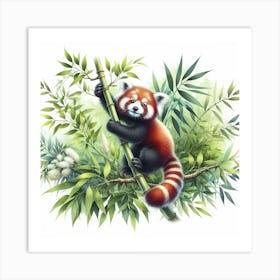 Red Panda 1 Art Print