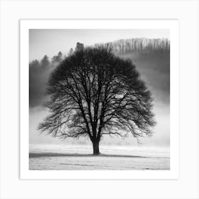 Lone Tree Art Print