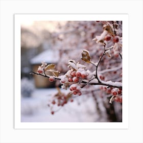 Winter Berries Art Print