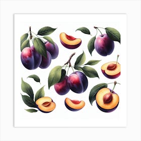 Plums 3 Art Print