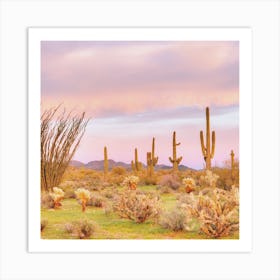 Pink Pastel Desert Views Art Print