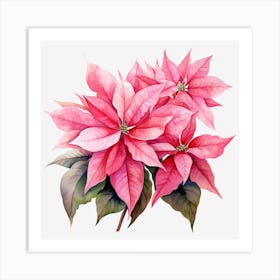 Poinsettia Flower Art Print