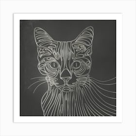 Cat Drawing On Chalkboard Art Print