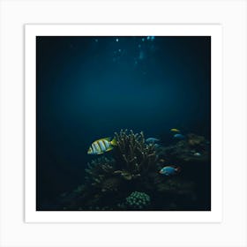 Underwater Fishes Art Print