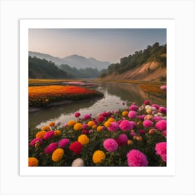 Thailand Flower Field Art Print