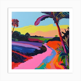 Colourful Abstract Everglades National Park Usa 3 Art Print