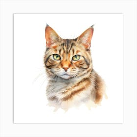 Chinese Li Hua Cat Portrait 3 Art Print