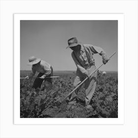 Nyssa, Oregon, Fsa (Farm Security Administration) Mobile Camp, Japanese American Farm Worker By Russell Lee Art Print