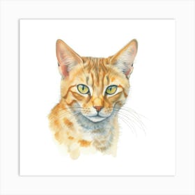 Exotic Cat Portrait 3 Art Print