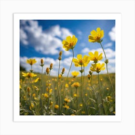 Yellow Flowers In A Field 8 Art Print