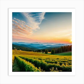 Sunset In The Vineyard Art Print