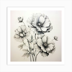 Poppy Drawing Art Print