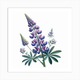 Flower of Lupine 1 Art Print