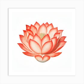 Lotus Flower 82 Art Print