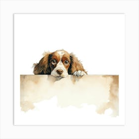 Spaniel Cocker Art Print