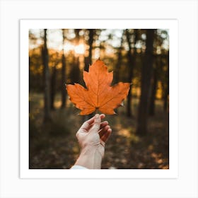 Autumn Leaf In Hand Art Print