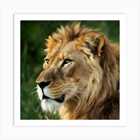 Lion Portrait Art Print