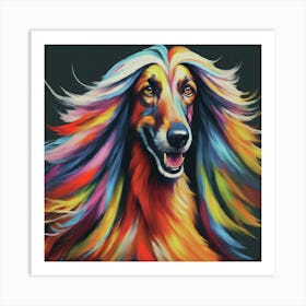 Afghan Hound 3 Art Print