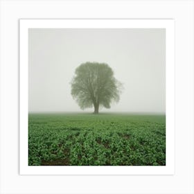 Lone Tree 7 Art Print