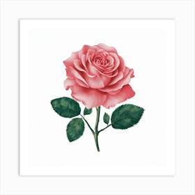 Pink Rose Art Print