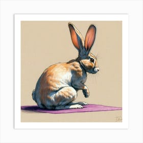 Rabbit On Yoga Mat Art Print