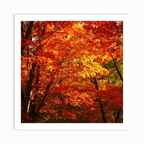 Firefly Autumn Leaves In Blaze Fiery Reds, Oranges, And Yellows Of Fall Foliage 3 Poster