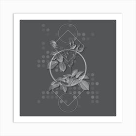 Vintage Evrat's Rose with Crimson Buds Botanical with Line Motif and Dot Pattern in Ghost Gray n.0308 Art Print