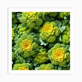 Close Up Of Green And Yellow Cauliflower Art Print