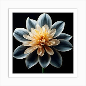 Lotus Flower Art Print