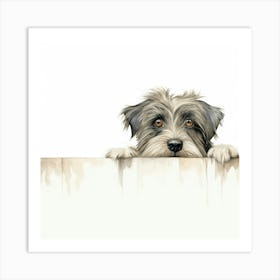 Schnauzer 32 Art Print