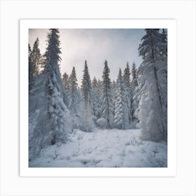 Snowy Forest Art Print