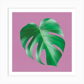 Tropical Charm - Modern Minimalist Monstera Leaf On Pink Art Print