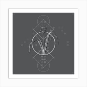 Vintage Small Flowered Pancratium Botanical with Line Motif and Dot Pattern in Ghost Gray Art Print