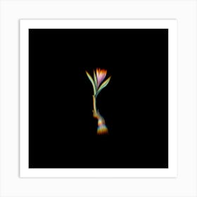 Prism Shift Spring Meadow Saffron Botanical Illustration on Black n.0393 Art Print