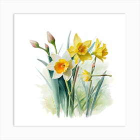 Watercolour of Daffodils Art Print